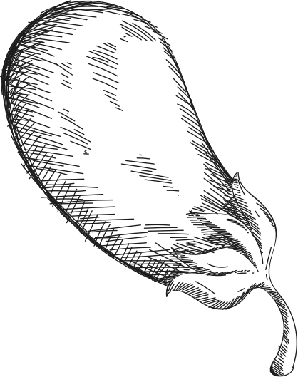 Illustrazione di una melanzana disegnata a mano.