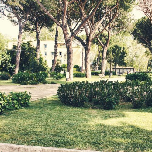 Parco con alberi, cespugli e vialetti pavimentati.
