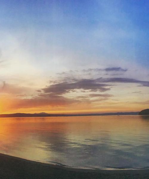 Tramonto su lago con albero e isola.