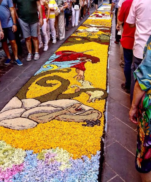 Persone osservano tappeto di fiori colorati su strada.