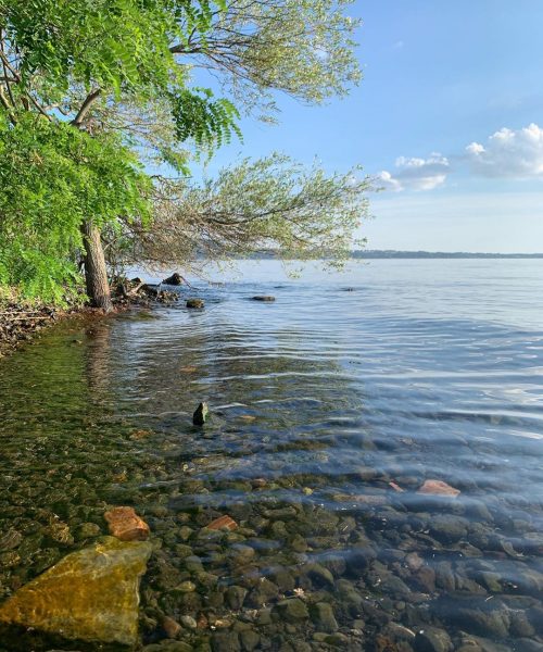 Riva di lago con alberi e acqua limpida.