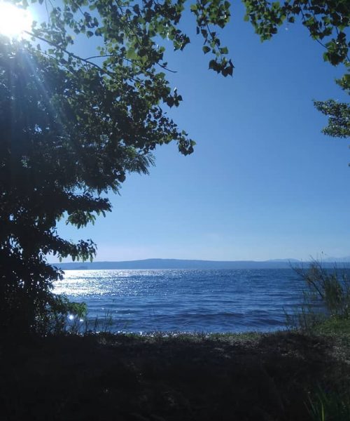 Vista del lago attraverso gli alberi, sole splendente.